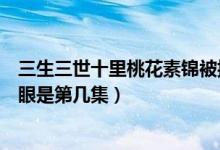 三生三世十里桃花素锦被揭穿（三生三世十里桃花素锦被挖眼是第几集）