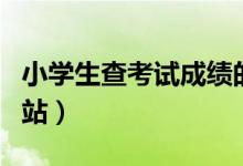 小学生查考试成绩的网站（小学生查成绩的网站）