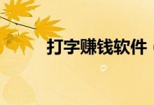 打字赚钱软件（善心汇如何赚钱）