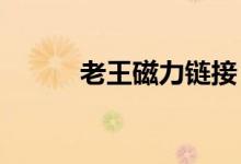 老王磁力链接（bturl磁力链接）