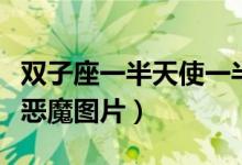 双子座一半天使一半恶魔图片（一半天使一半恶魔图片）