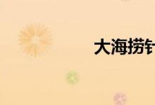 大海捞针（1818捞）