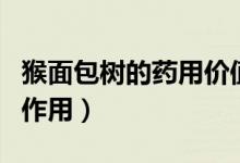 猴面包树的药用价值（猴面包树果实的功效与作用）