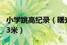 小学跳高纪录(曙光小学以往的跳高记录是1 3米)