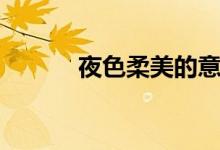 夜色柔美的意思（柔美的意思）