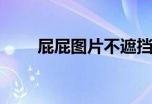 屁屁图片不遮挡（下部图片不遮挡）