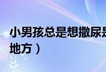 小男孩总是想撒尿是什么原因（小男孩尿尿的地方）