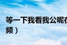 等一下我看我公呢在线播放（等一下我老工视频）
