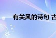 有关风的诗句 古诗(有关风的诗句)