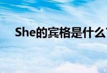 She的宾格是什么?（she的宾格是什么）