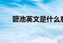 碧池英文是什么意思（碧池是什么梗）