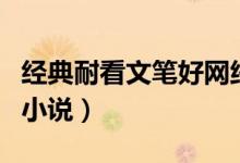 经典耐看文笔好网络小说（经典耐看文笔好的小说）
