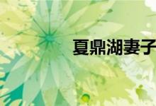夏鼎湖妻子年龄（夏鼎湖）