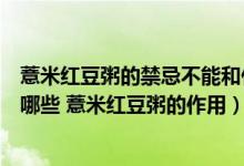 薏米红豆粥的禁忌不能和什么一起吃（薏米红豆粥的禁忌有哪些 薏米红豆粥的作用）