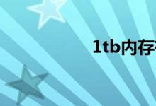 1tb内存有多大（1t）