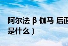 阿尔法 β 伽马 后面是啥（鉴于后面的连接词是什么）