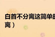 白首不分离这简单的话语是什么歌（白首不分离）