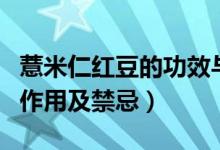 薏米仁红豆的功效与作用（薏米红豆的功效与作用及禁忌）