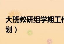 大班教研组学期工作计划（大班教研组工作计划）