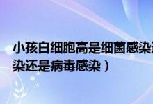 小孩白细胞高是细菌感染还是病毒感染（白细胞高是细菌感染还是病毒感染）