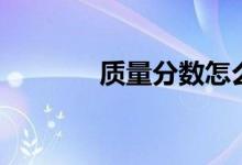 质量分数怎么算（质量分数）
