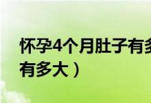 怀孕4个月肚子有多大正常（怀孕4个月肚子有多大）