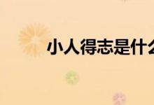 小人得志是什么生肖（小人得志）