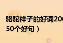 骆驼祥子的好词200个（骆驼祥子 100个好词50个好句）
