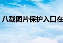 八载图片保护入口在哪（八载图片保护入口）