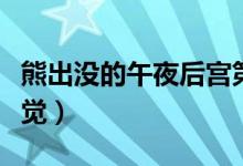 熊出没的午夜后宫第一夜(女生第一夜什么感觉)