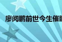 廖阅鹏前世今生催眠曲（廖阅鹏前世今生）