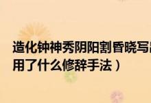 造化钟神秀阴阳割昏晓写出了什么（造化钟神秀阴阳割昏晓用了什么修辞手法）