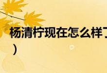 杨清柠现在怎么样了(变形记杨清柠是哪一期)