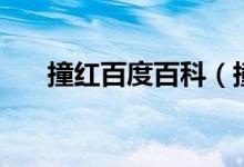 撞红百度百科（撞够本钟楚虹未删版）