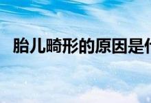 胎儿畸形的原因是什么（胎儿畸形的原因）