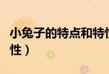 小兔子的特点和特性（小兔子的特点和生活习性）