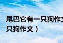 尾巴它有一只狗作文300字以上（尾巴它有一只狗作文）