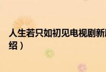 人生若只如初见电视剧新剧（人生若只如初见电视剧剧情介绍）