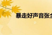 暴走好声音张全蛋（暴走好声音）