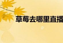 草莓去哪里直播了（草莓在哪直播）