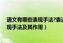语文有哪些表现手法?表达方式?表达效果?（求语文所有表现手法及其作用）