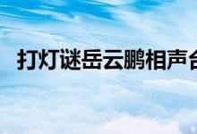 打灯谜岳云鹏相声台词（岳云鹏相声台词）