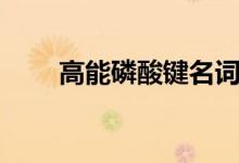 高能磷酸键名词解释（高能磷酸键）