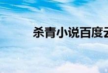 杀青小说百度云网盘（杀青小说）