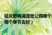 延庆野鸭湖湿地公园哪个季节去好玩（延庆野鸭湖湿地公园哪个季节去好）