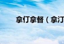 拿仃拿督(拿汀和拿督是什么意思)