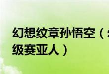 幻想纹章孙悟空（幻想纹章2 2悟空怎么变超级赛亚人）
