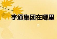 宇通集团在哪里（宇通集团是国企吗）