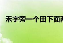 禾字旁一个田下面两点一个反文（禾字旁）