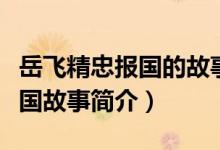 岳飞精忠报国的故事名字叫什么（岳飞精忠报国故事简介）